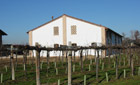 Ricostruzione annesso rustico.
Esterno Ricostruzione annesso rustico . Esterno realizzato dall'architetto Barutta